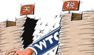 关税是谁交（关税是谁交税）