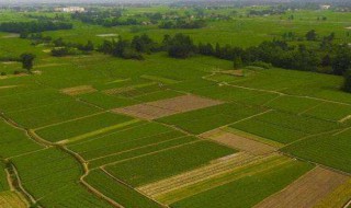 新的土地法将在何时实施 新土地法实施细则什么时候实施