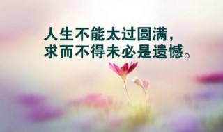 早安点赞最多的句子 早安点赞最多的句子群发