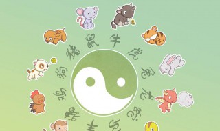 水里游的动物打一生肖 水里游的动物打一生肖是什么