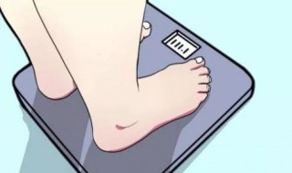 8磅等于多少斤 8磅等于多少斤kg