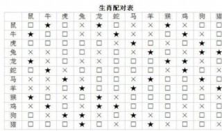 上等婚配生肖配对（上等婚配是什么）