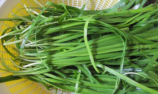韭菜怎么做好吃（韭菜怎么做好吃又壮阳）