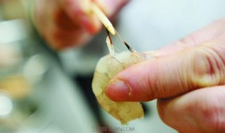 虾线最快挑法（虾线的挑法）