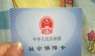 农村户口一次性买社保（农村一次性买社保多少钱）
