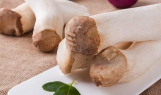 杏鲍菇为什么要焯水（杏鲍菇为什么要焯水,要焯水几分钟?）