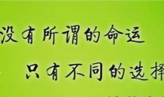正能量乐观幽默的句子 正能量乐观幽默的句子短句