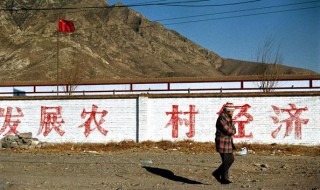 农村组长是否取消（农村组长是否取消编制）