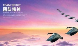 企业团队精神口号 企业团队精神口号十六个字
