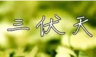 三伏天从哪天开始算（2023什么时候入伏三伏天从哪天开始算）