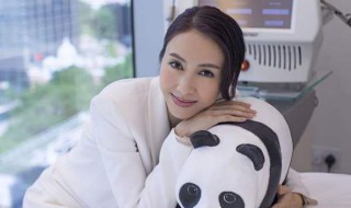 黎姿个人资料（黎姿个人资料简历）