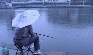 雨天钓鱼怎么钓（雨天怎么野钓）