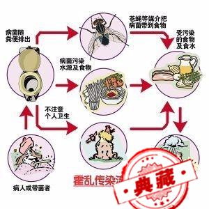 外出旅行工作的免疫接种问题（外出旅行工作的免疫接种问题有哪些）