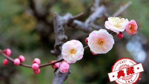 手癣怎么治疗 手癣怎么治疗可以除根