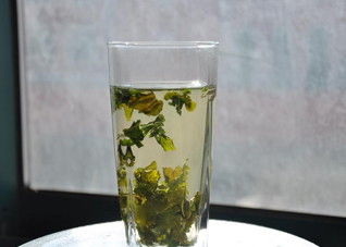 中药桑叶减肥茶女性的最爱（桑叶茶怎样喝减肥效果最好）