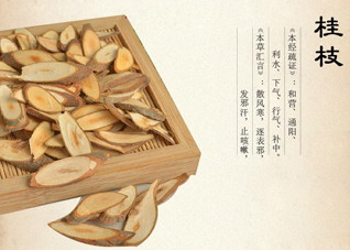 小儿感冒的中医治疗法 中医治疗小儿感冒的方法