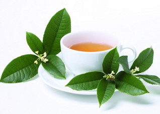 高血压适合喝那些茶（有高血压适合喝什么茶）