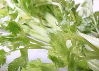 芹菜都有什么功效 芹菜都有什么功效?