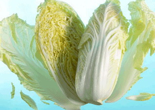 大白菜怎么吃最养生 大白菜怎么吃最好