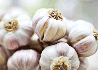 盘点饮食中的“明星单品”（明星最喜欢的食物）