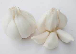 5大最廉价护肾食物 5大最廉价护肾食物有哪些