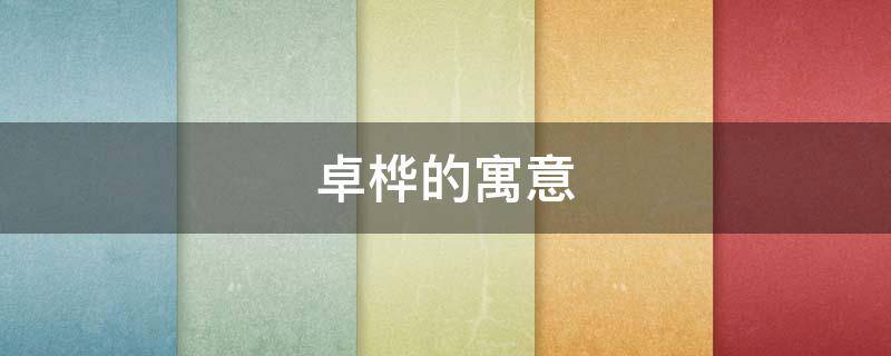 卓桦的寓意（靖卓的寓意）