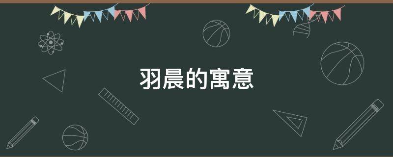 羽晨的寓意（羽晨的含义）