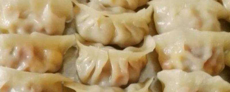 儿童饺子馅有哪些种类 儿童饺子馅有哪些种类窍门