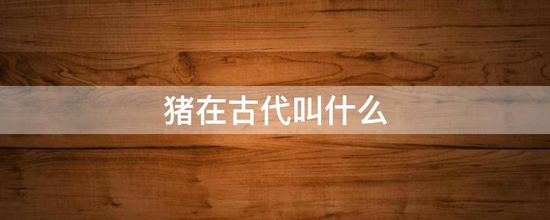 猪在古代叫什么 猪在古代叫什么职位