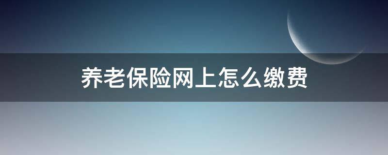 养老保险网上怎么缴费 农村养老保险网上怎么缴费