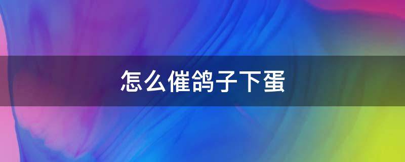 怎么催鸽子下蛋（怎么催鸽子下蛋最快）