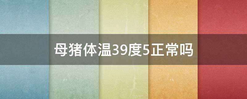 母猪体温39度5正常吗（母猪39度5温度正常吗）