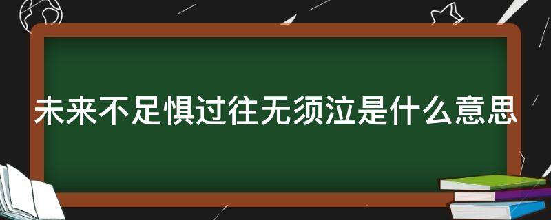 未来不足惧过往无须泣是什么意思 未来不足惧过往不须泣是什么意思