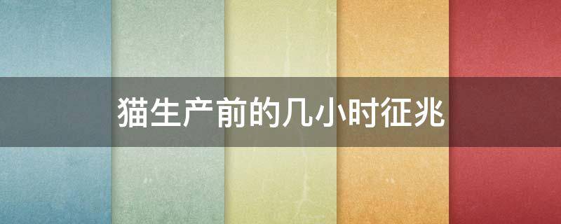 猫生产前的几小时征兆 猫生产前的几小时征兆 粉色粘稠液体