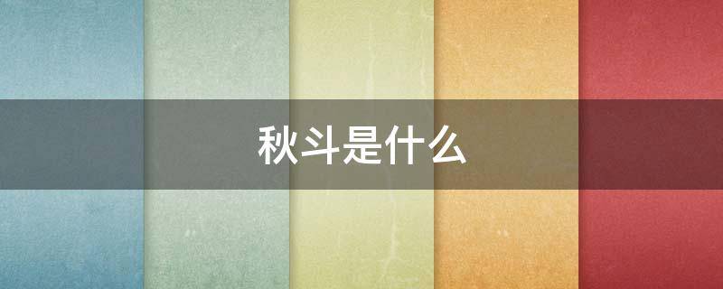 秋斗是什么 为什么叫秋斗