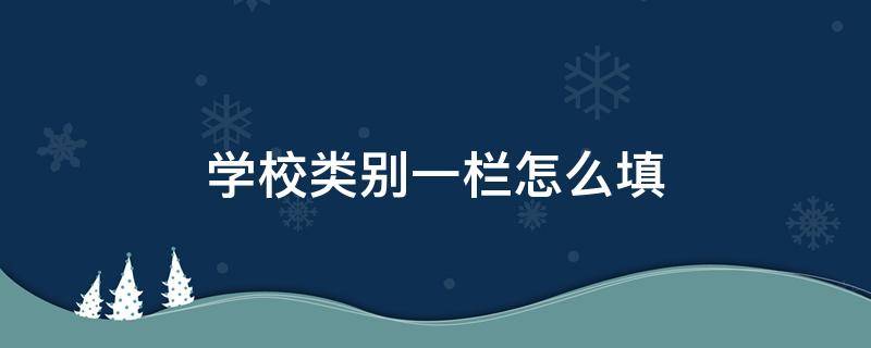 学校类别一栏怎么填（小学学校类别一栏怎么填）