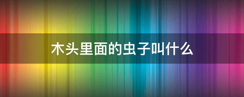 木头里面的虫子叫什么（木头里面的虫子叫什么名字）