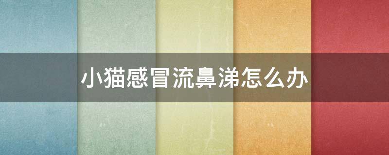 小猫感冒流鼻涕怎么办 猫猫感冒流鼻涕怎么办