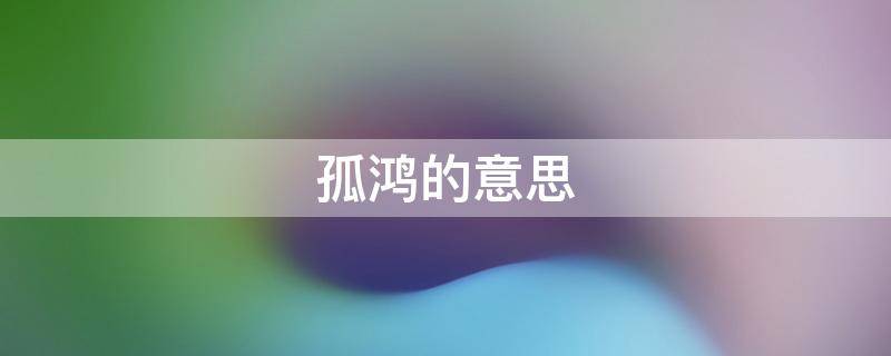 孤鸿的意思（倚枕江南烟雨,杳杳没孤鸿的意思）