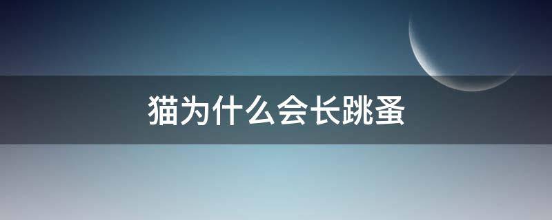 猫为什么会长跳蚤（猫为什么会长跳蚤）