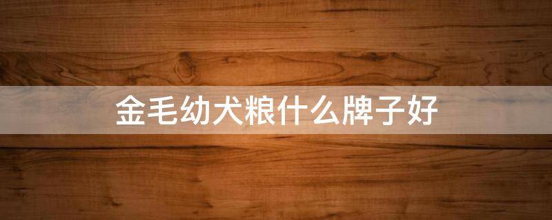 金毛幼犬粮什么牌子好 金毛幼犬吃什么牌子的狗粮经济实惠