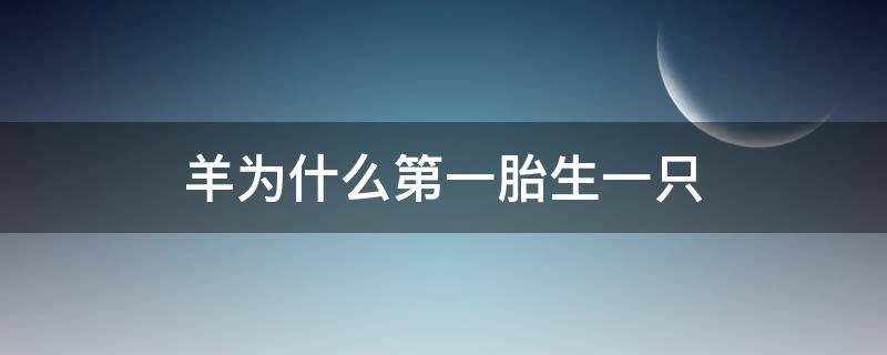 羊为什么第一胎生一只（羊为什么只生一只）