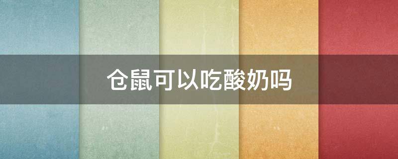 仓鼠可以吃酸奶吗（仓鼠能吃酸奶嘛）