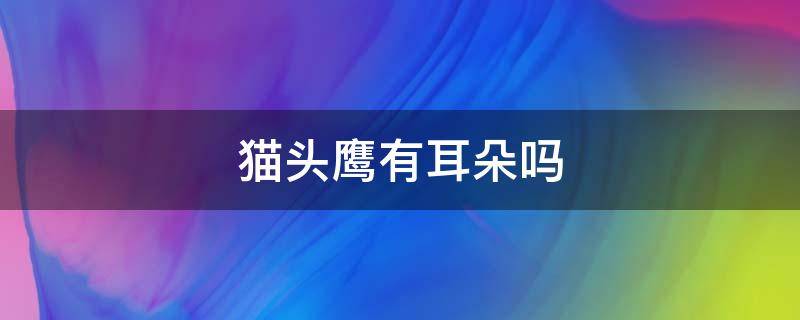 猫头鹰有耳朵吗 猫头鹰有耳朵吗为什么