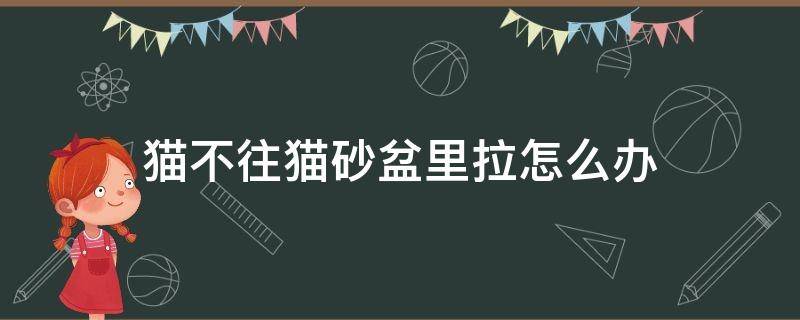 猫不往猫砂盆里拉怎么办（猫不往猫砂盆里拉怎么办呢）