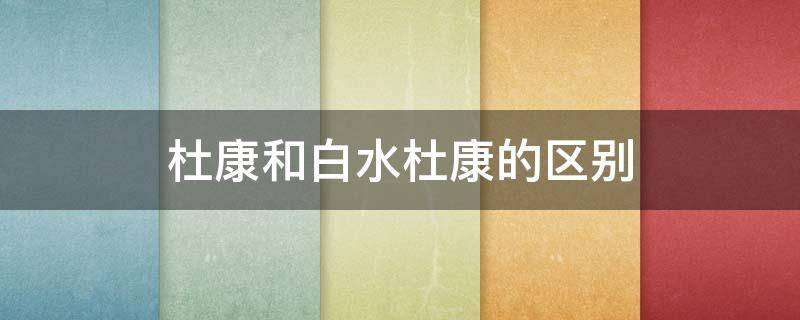 杜康和白水杜康的区别（杜康跟白水杜康有什么区别）