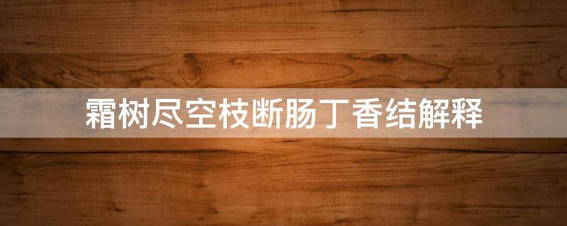霜树尽空枝断肠丁香结解释（霜树尽空枝肠断丁香结的意思?）