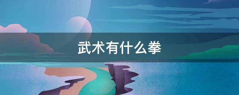 武术有什么拳 武术有什么拳名?