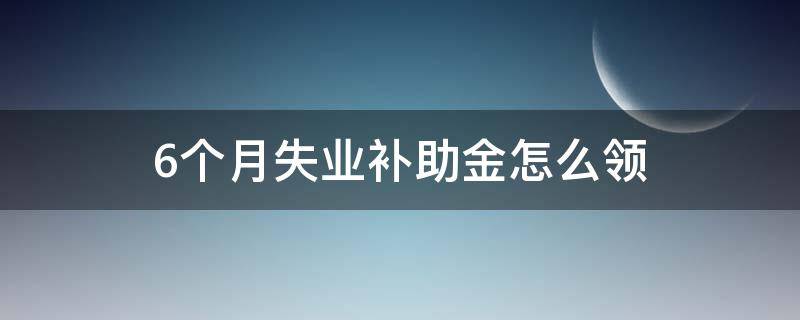 6个月失业补助金怎么领 6个月失业补助金怎么领的