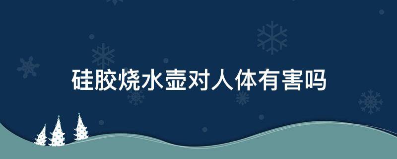 硅胶烧水壶对人体有害吗 硅胶烧水壶对人体有害吗知乎